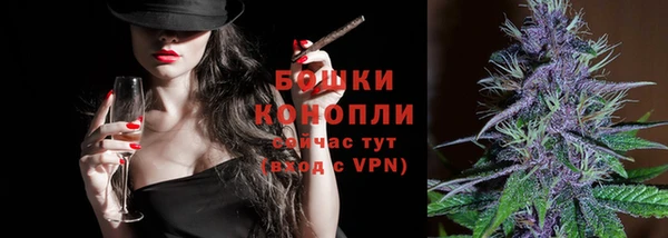 дмт Елабуга