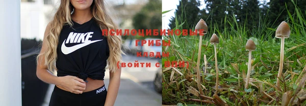 дмт Елабуга