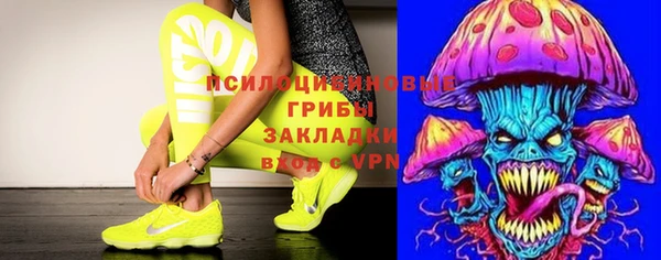 дмт Елабуга