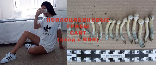дмт Елабуга